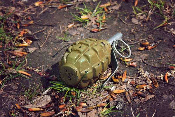 கைக்குண்டை மரத்தில் தொங்க விட்ட துப்பரவு தொழிலாளி கைது | A Cleaner Hung A Hand Grenade On A Tree
