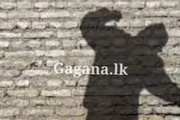 දුම්රිය ස්ථානයකට පහරදීමක් - දේපළ කිහිපයකට හානී..