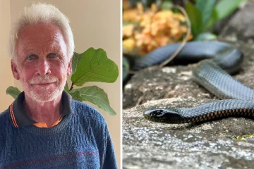 படுக்கையில் தூங்கி எழுந்த போது தன்னை பாம்பு கடித்ததை உணர்ந்த நபர்! அடுத்து தெரியவந்த ஒரு உண்மை