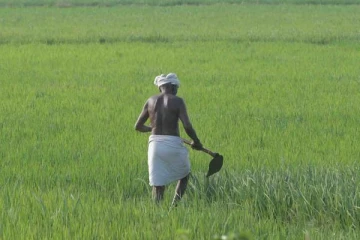 விவசாயிகளுக்கு இழப்பீட்டை வழங்க அனுமதி