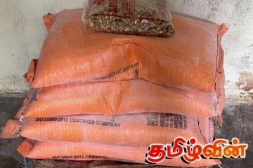 மன்னாரில் தரமற்ற பையில் ரொட்டியை சுருட்டி வைத்திருந்த உணவகத்திற்கு சீல்