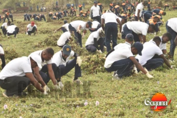 ‘කලා වැව ආයෙත් අලින්ට දෙමු’ - වැඩේ ජයටම..