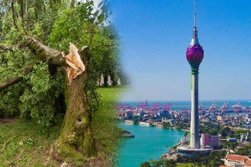 கொழும்பில் முறிந்து விழுந்த மரங்கள்: வெளியான தகவல்