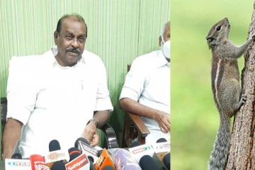 மின் வெட்டுக்கு அணில் தான் காரணம் என்று எனக்கு தெரியவில்லை! நத்தம் விஸ்வநாதன் பேச்சு..