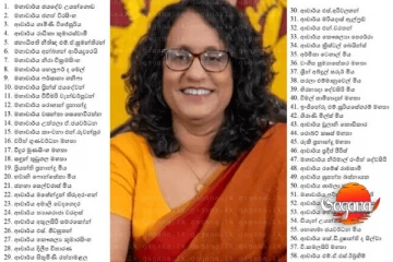 අගමැතිනියට හතර වටෙන් මඩ ගහද්දී ආචාර්යවරුන් සහ වෘත්තිකයන් අගමැති රකින්න පෙරට