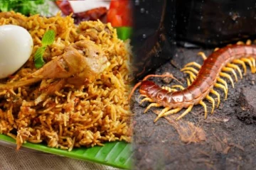 ஆசையாக பிரியாணி சாப்பிட்ட சிறுவன், கடித்தது சிக்கன் இல்ல பூரான் - அட்மிட் ஆன சோகம்!