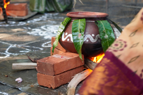 கோலாகலமாக நடந்து முடிந்த நம்மவர் பொங்கல் விழா...! | Ibc Tamil Lankasiri Nammavar Pongal Vizha