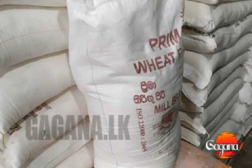 කල් ඉකුත් වූ තිරිඟු පිටි තොගයක් වත්තලින්