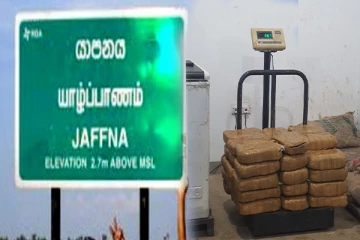 யாழ். வெற்றிலைக்கேணி கடற்கரை பகுதியில் பெருந்தொகையான கேரள கஞ்சா மீட்பு