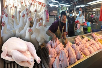 குறைக்கப்பட்டது கோழி இறைச்சியின் விலை!