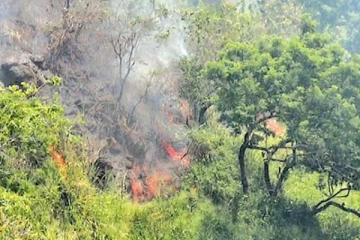 எல்ல சுற்றுலாப் பகுதியில் பாரிய தீப்பரவல் ; கவனக்குறைவால் நேர்ந்த அனர்த்தம்
