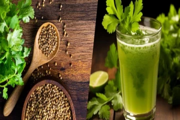 இது தெரிந்தால் இனி கொத்தமல்லி சாப்பிடுவதை நிறுத்தவே மாட்டீங்க