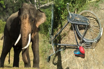 காட்டு யானை தாக்கியதில் குடும்பஸ்த்தர் ஒருவர் பலி