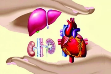 இனிமேல் இதை செய்வதற்கு ஆதார் கட்டாயம் - தமிழக அரசு அதிரடி அறிவிப்பு