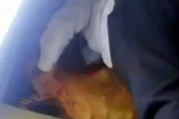 பிரபல மருத்துவமனை கூரையில் மீட்கப்பட்ட கருவிகள்! | Rescue Of Surgical Instruments On The Roof