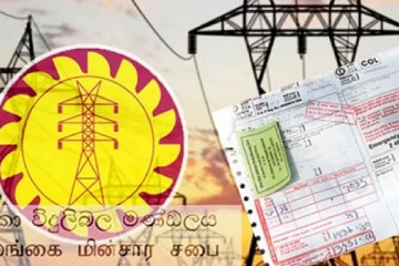 மின்சார கட்டணத்தை 20% குறைக்குமாறு கோரிக்கை