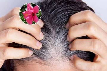 நீண்ட மற்றும் அடர்த்தியான கூந்தலை பெற உதவும் செம்பருத்தி பொடி - எப்படி தெரியுமா?