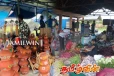 கிளீன் சிறிலங்கா வேலைத்திட்டத்தினூடாக திறக்கப்பட்ட பொதுச் சந்தை