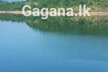 කිසිවෙකුත් නොසිතූ දෙයක් පාවෙමින් තිබියදී හමුවෙයි