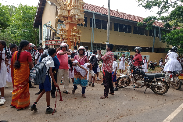 கிளிநொச்சி மகா வித்தியாலயத்தில் குளவி கொட்டுக்கு இலக்காகி 25 மாணவர்கள் வைத்தியசாலையில் (Photos) | 25 Students Hospitalized At Wasp Maha Vidyalaya