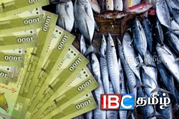 சீரற்ற காலநிலையால் மீன்களின் விலை அதிகரிப்பு