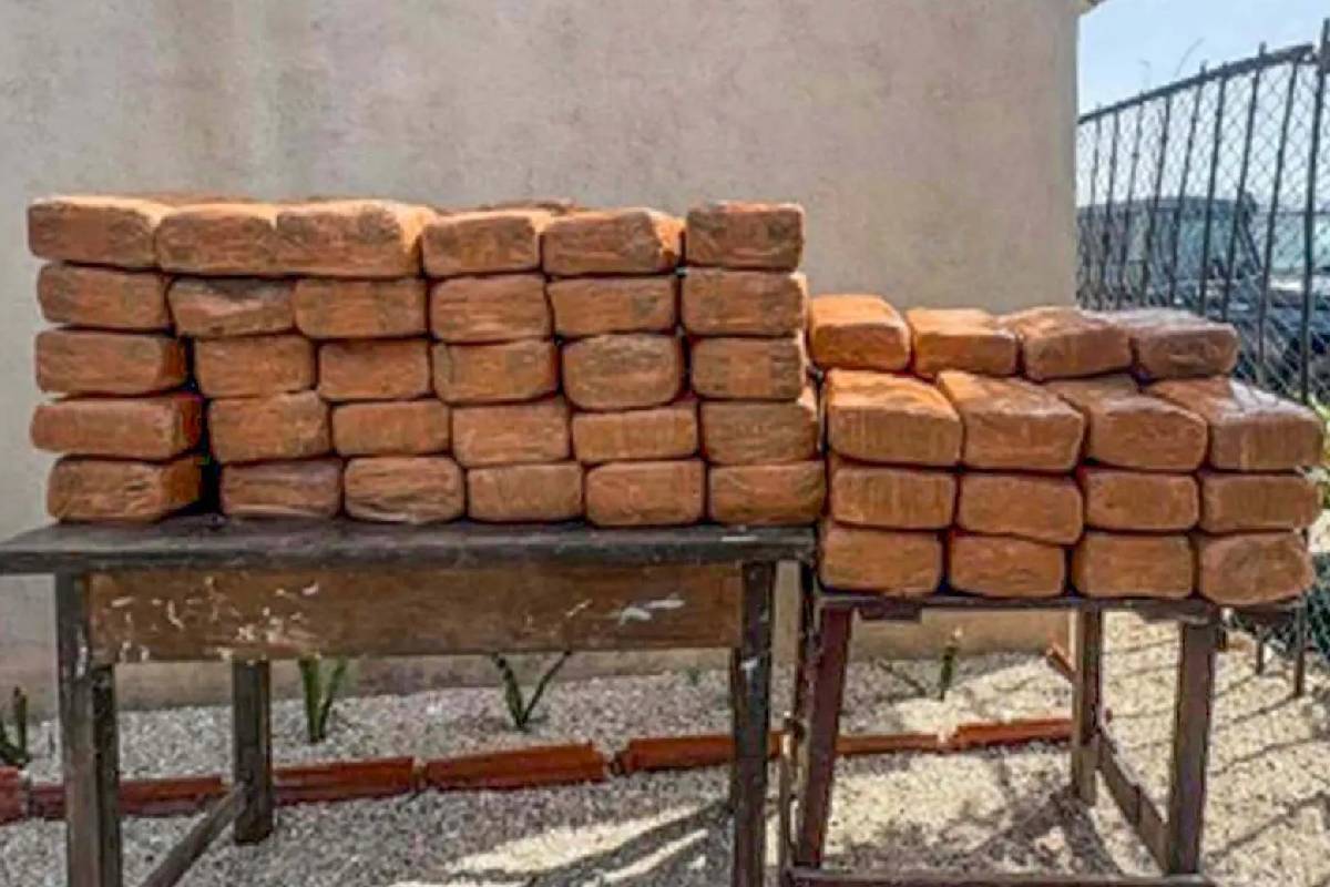 யாழ்ப்பாணம் வெளிநாட்டு கஞ்சா தொகையுடன் ஒருவர் கைது | Man Arrested In Jaffna With Foreign Cannabis