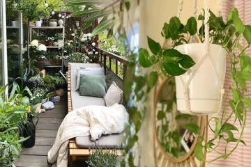 படுக்கையறையில் தாவரங்கள் வளர்ப்பது ஆபத்தா? கட்டாயம் தெரிஞ்சிக்கோங்க