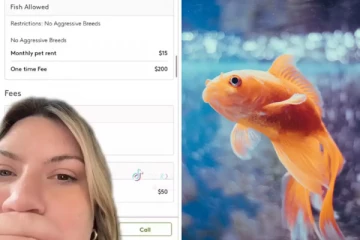 தங்கமீனுக்கு வாடகை வசூலித்த வீட்டு உரிமையாளர்., அதிர்ச்சியடைந்த அமெரிக்க பெண்