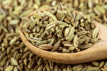 உணவில் அதிகளவு பெருஞ்சீரகத்தை சேர்த்துக்கொள்வதால்  ஏற்படும் நன்மைகள் என்ன தெரியுமா?