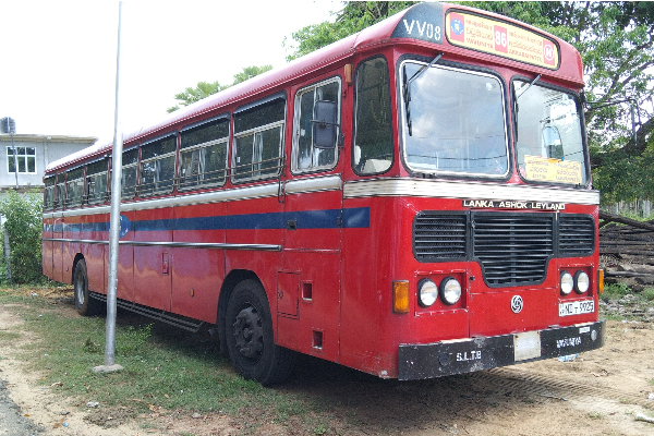 யாழில் விபத்து: பெண் ஒருவர் பலி (Photos) | Woman Killed In Road Accident In Jaffna