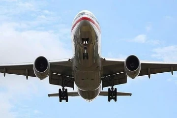 இந்திய விமானி மோசமான செயல் ; அமெரிக்காவில் இருந்து நாடு கடத்தல்