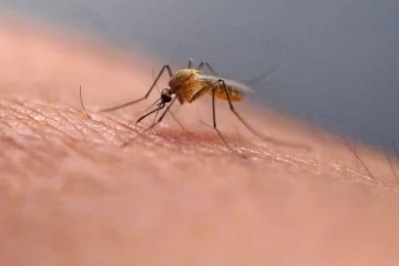 டொரொன்டோவில் பதிவான வைரஸ் தொற்று