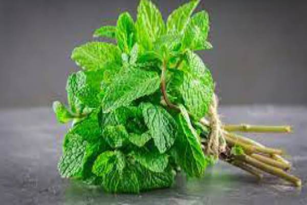 இரண்டு முறை பல்துலக்கியும் வாய் துர்நாற்றமா? காரணத்தை விளக்கும் மருத்துவர் | Which Foods That Fix Bad Breath Naturally இரண்டு முறை பல்துலக்கியும் வாய் துர்நாற்றமா? காரணத்தை விளக்கும் மருத்துவர் | Which Foods That Fix Bad Breath Naturally