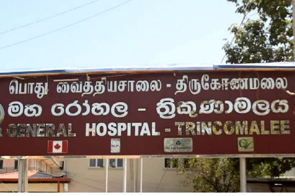 யானை தாக்கியதில் குடும்பஸ்தர் படுகாயம்: திருகோணமலையில் சம்பவம் | One Dies Attacked By An Elephant In Trincomalee