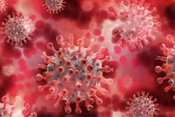 வவ்வால்களிடம் இருந்து புதிதாக பரவும் ’நியோகோவ்' வைரஸ் தொற்று ; 3-ல் ஒருவரை கொல்லும்  - சீன ஆராய்ச்சியாளர்கள் கண்டுப்பிடிப்பு