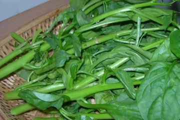 இந்த ஒரு கீரை போதும்! பல நோய்களை விரட்டி விடும் ஆச்சரியம்