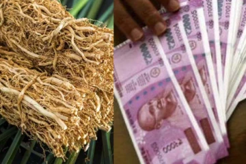 வீட்டில் பணப்புழக்கம் தாறுமாறாக அதிகரிக்க வேண்டுமா? இந்த ஒரு பொருளில் நிகழும் அதிசயம்