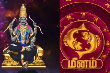 மீன ராசி லக்னத்தில் பிறந்தவர்களுக்கு சனி வக்கிரப் பெயர்ச்சி எப்படி இருக்க போகிறது?