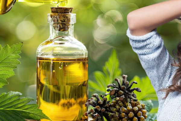 முழங்கால் வரை காடு போன்ற முடி வளர்ச்சிக்கான எண்ணெய் : நிரந்தர தீர்வு | Top 3 Hair Oil For Thick And Long Hair