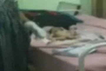 குழந்தைகளை தூக்கி சென்ற குரங்குகள்: சந்தேகத்தை கிளப்பும் வனத்துறையினர்