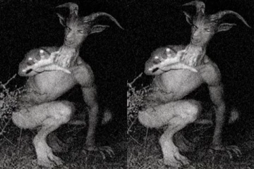 திருவண்ணாமலையில் உலாவும் வினோத உருவம்.., தமிழக அரசு வெளியிட்ட பதிவு