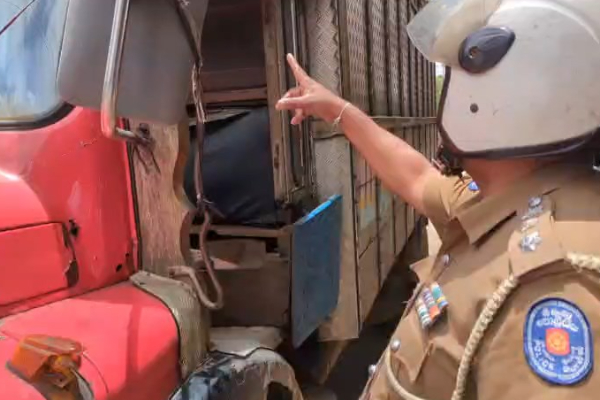 போக்குவரத்துப் பொலிஸார் விசேட சோதனை | Traffic Police Special Inspection Hatton