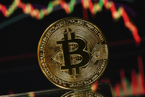 2024 இல் பின் பாரிய வீழ்ச்சியடைந்த பிட்காயின்! | Bitcoin Experienced A Massive Drop In 2024