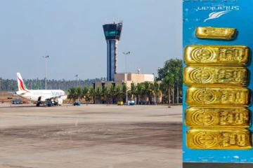 வெளிநாட்டிலிருந்து கட்டுநாயக்கவில் தரையிறங்கியவர் கைது