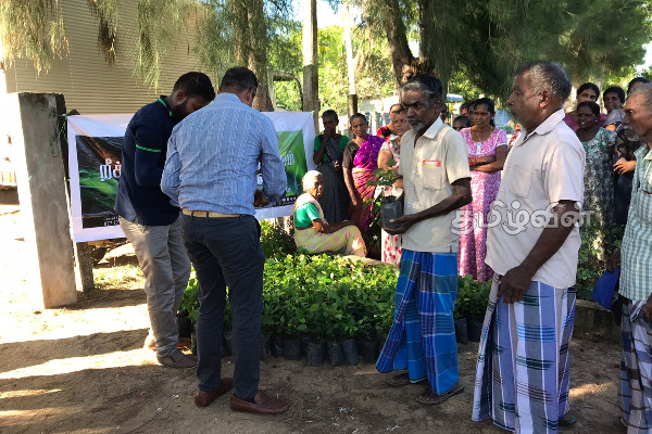 கிழக்கில் றீ(ச்)ஷா ஒருங்கிணைந்த பண்ணையால் மரநடுகை வாரம் ஆரம்பித்து வைப்பு (Video) | Reecha Tree Planting Week In Eastern Province