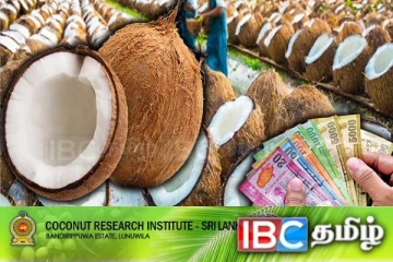 தேங்காய் தட்டுப்பாட்டுக்கு விரைவில் தீர்வு : வெளியான தகவல்