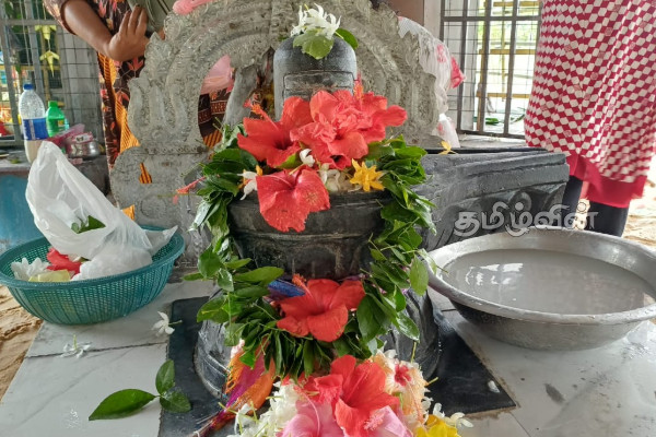 நாடளாவிய ரீதியில் சிவராத்திரி பூஜை வழிபாடுகள் | Shivaratri Puja Worships Held Across The Island நாடளாவிய ரீதியில் சிவராத்திரி பூஜை வழிபாடுகள் | Shivaratri Puja Worships Held Across The Island