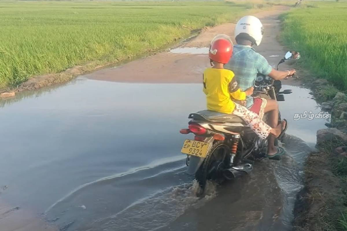 கந்தளாய் போட்டான்காட்டு வீதி சேதமடைந்துள்ளதால் மக்கள் அவதி.. | People Suffering Potankattu Road Damaged By Rags