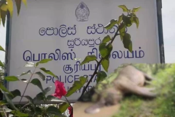 திருகோணமலையில் மின்சார வேலியில் சிக்குண்டு காட்டு யானை உயிரிழப்பு