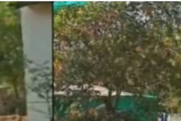 யானைகள் முகாமில் கோவில் யானை மீது கொடூர தாக்குதல்